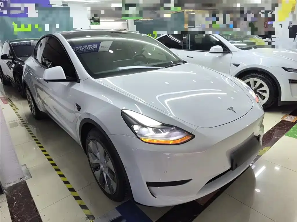 Tesla Model Y 2022 из CN, фото 2