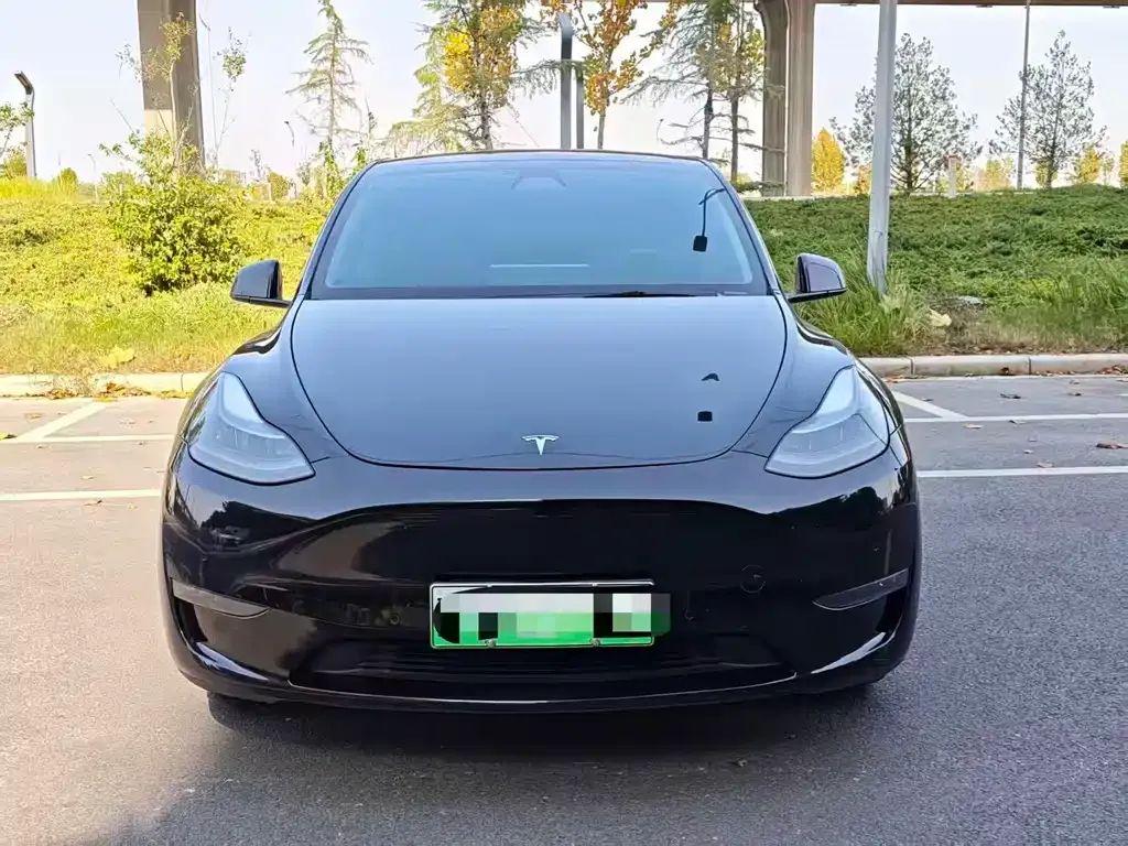 Tesla Model Y — фото 6