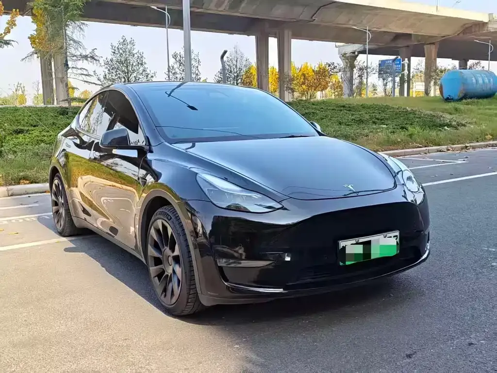 Tesla Model Y — фото 9