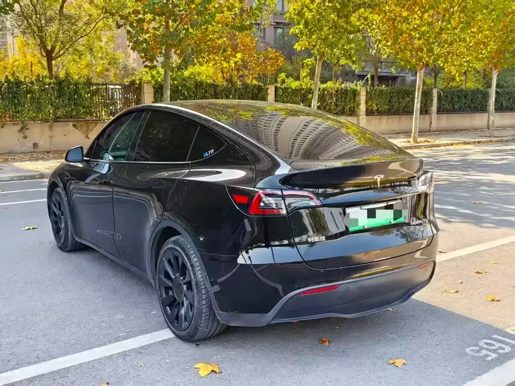 Tesla Model Y — фото 8