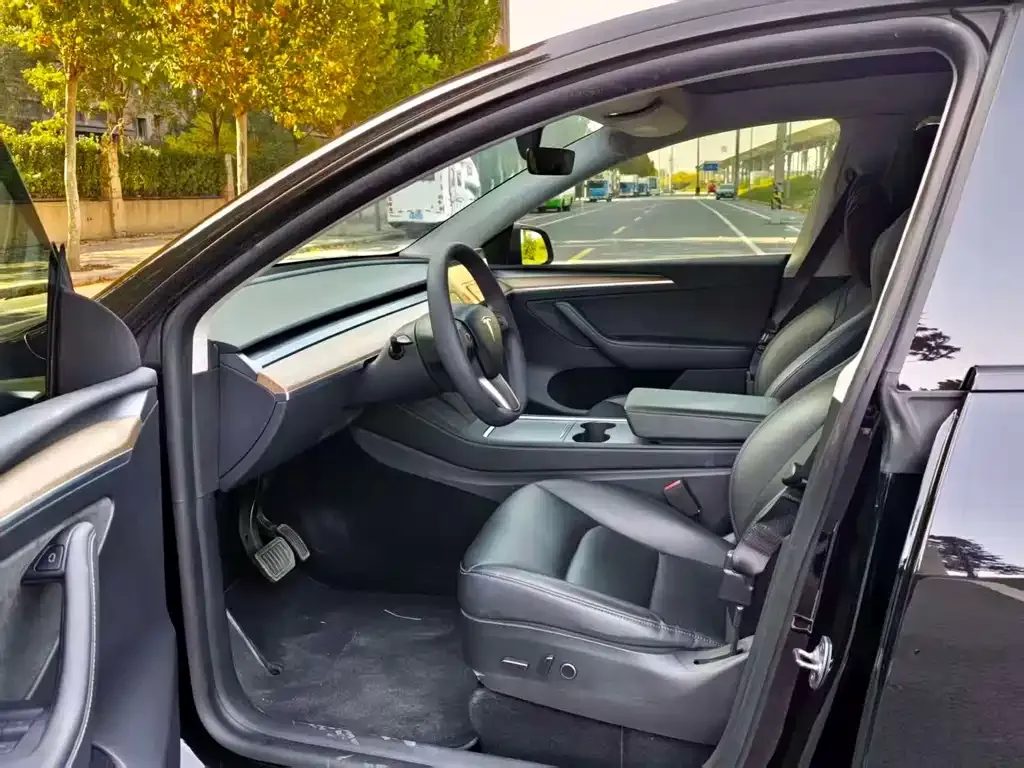Tesla Model Y — фото 3