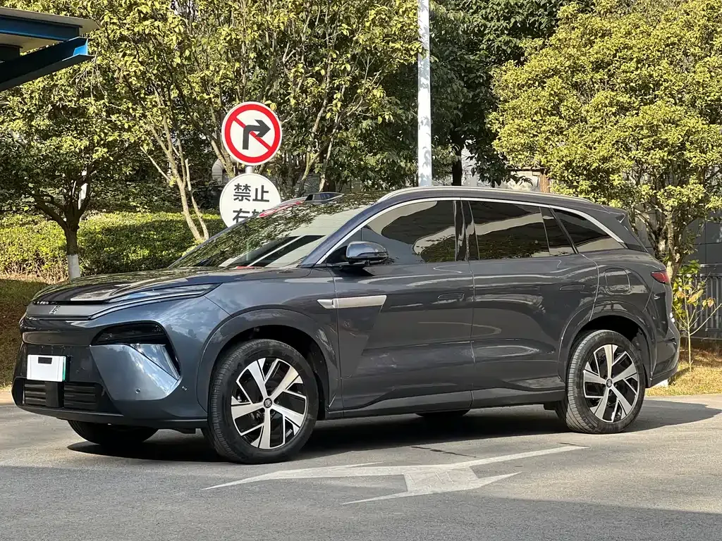 BYD Tang L 2025 из CN, фото 1