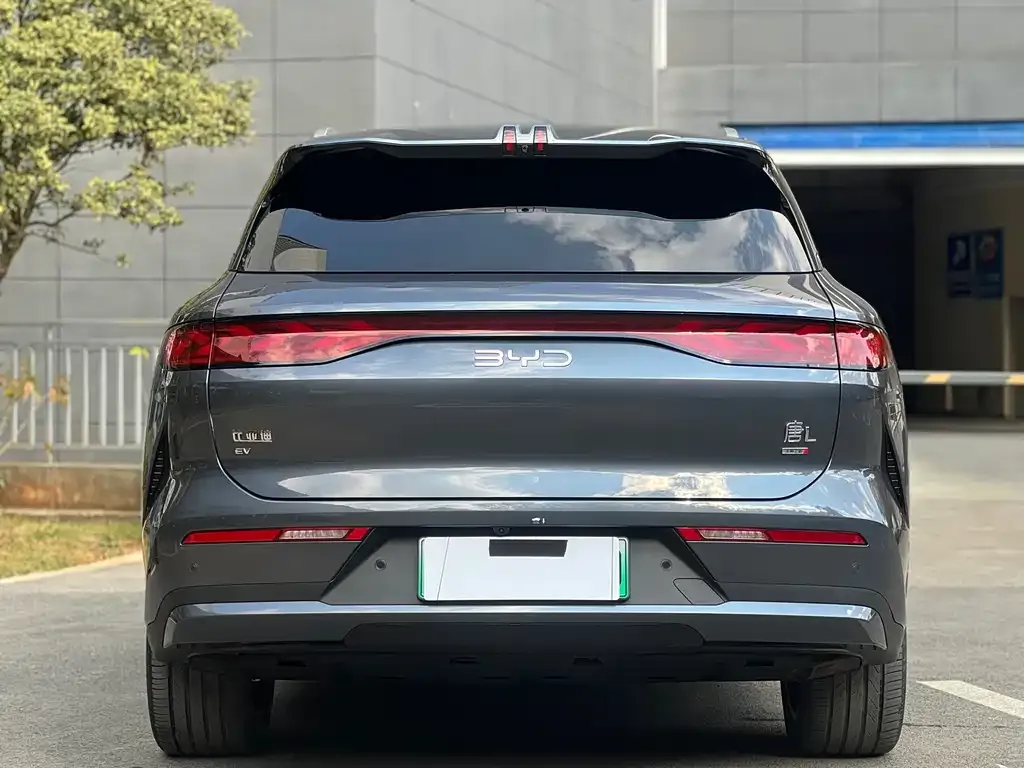 BYD Tang L 2025 из CN, фото 2