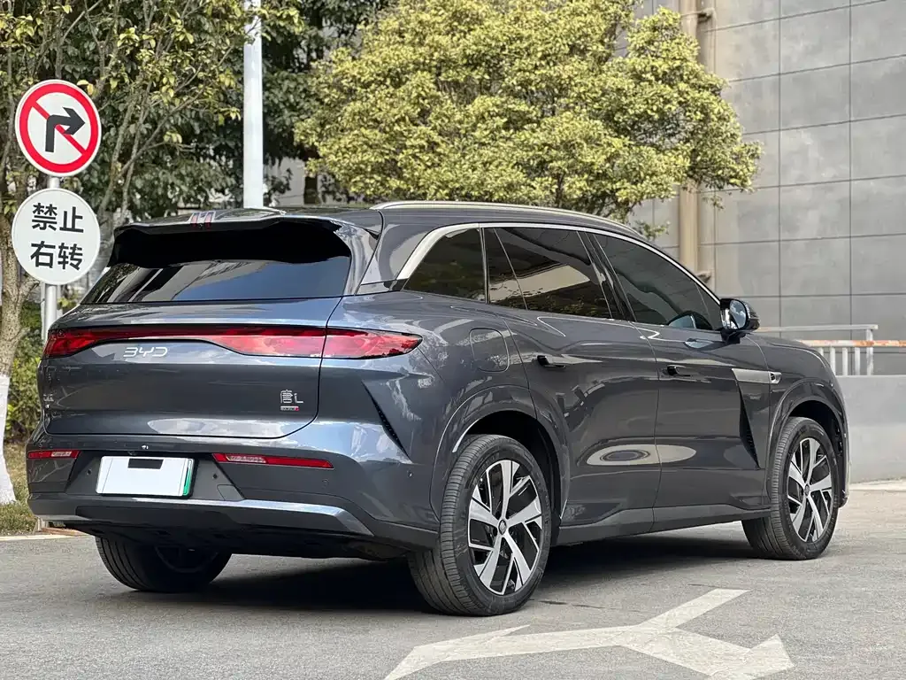 BYD Tang L 2025 из CN, фото 5