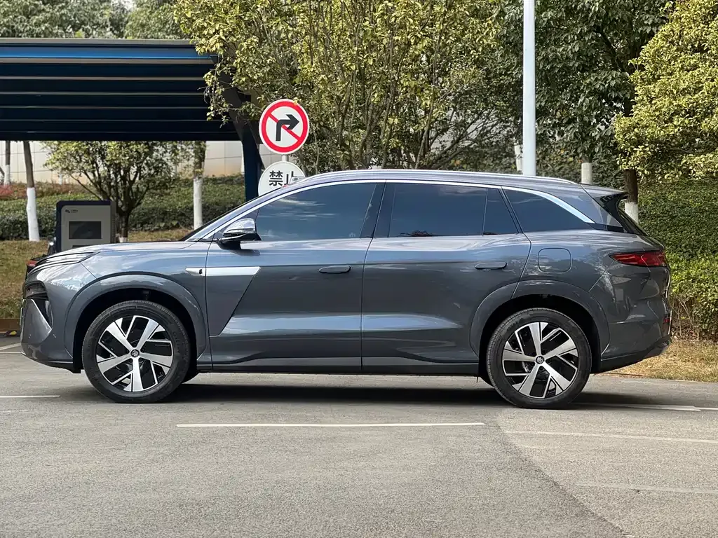 BYD Tang L 2025 из CN, фото 10