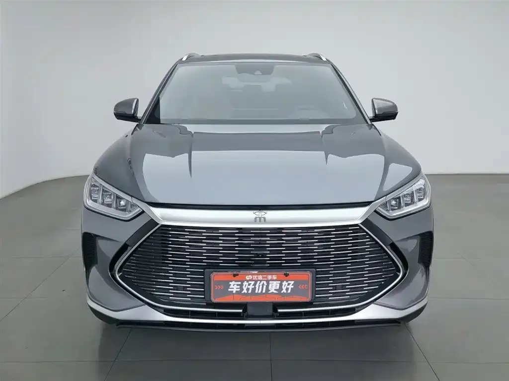 BYD PLUS New Energy 2021 из CN, фото 7