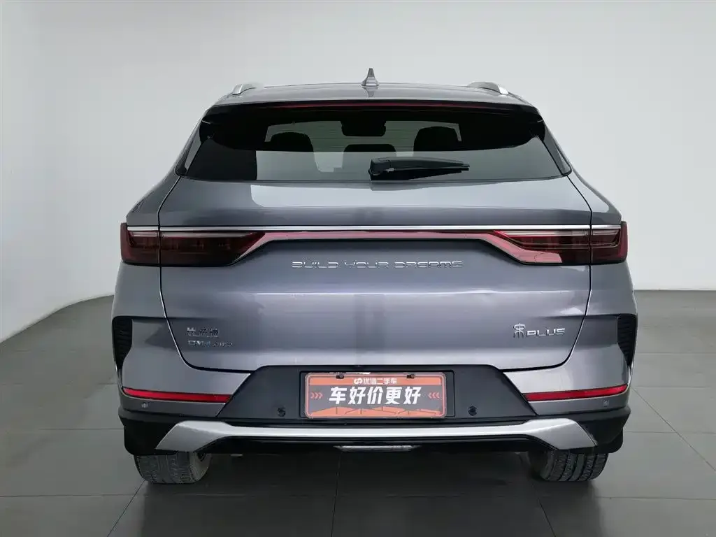 BYD PLUS New Energy 2021 из CN, фото 3