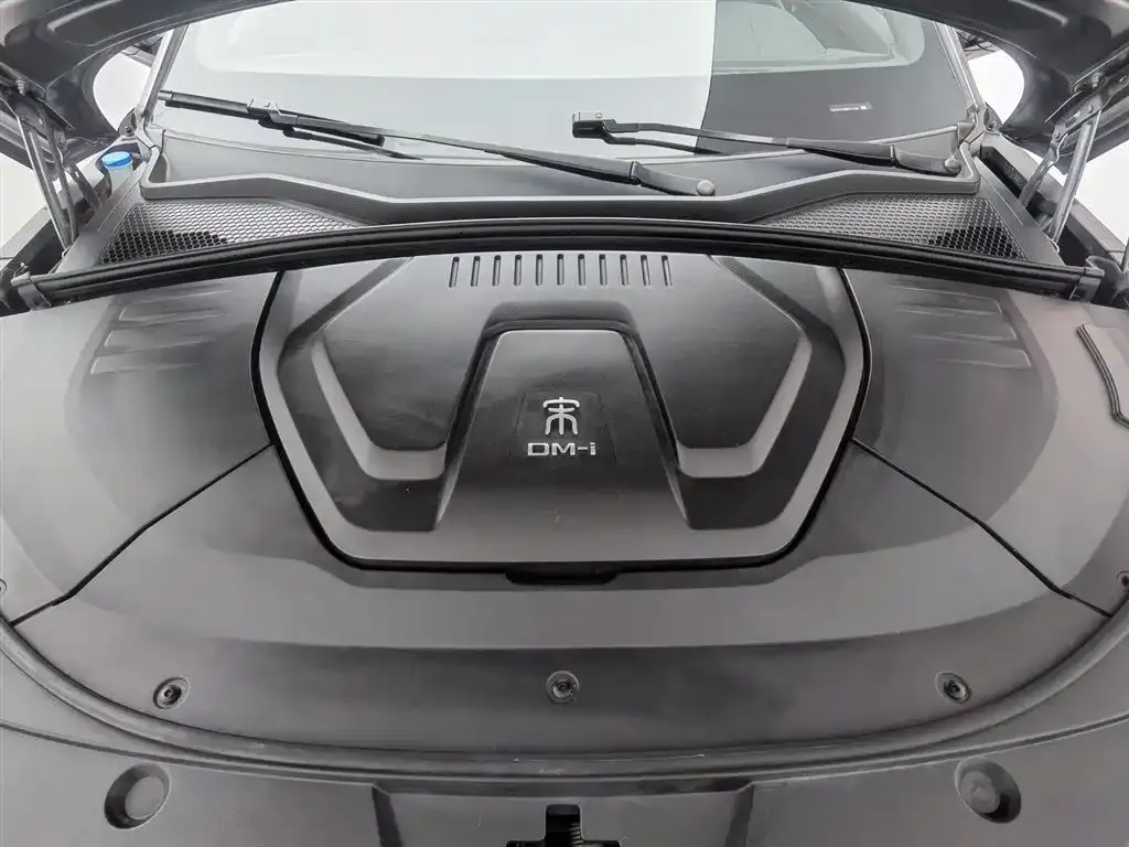 BYD PLUS New Energy 2021 из CN, фото 10