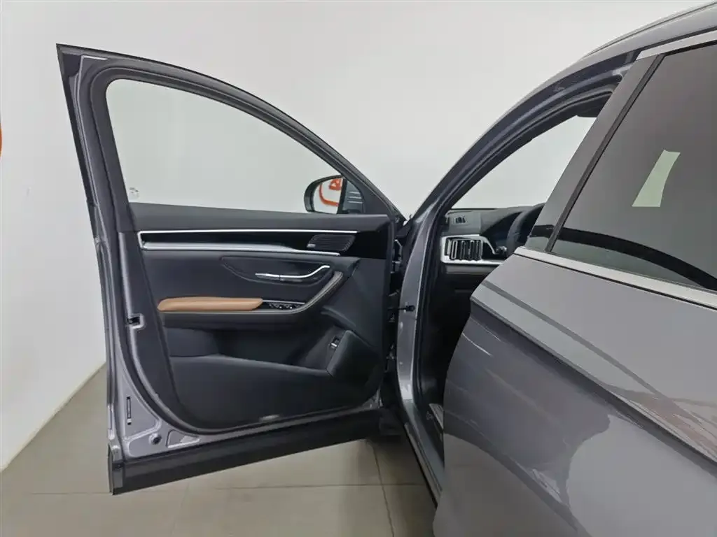 BYD PLUS New Energy 2021 из CN, фото 8