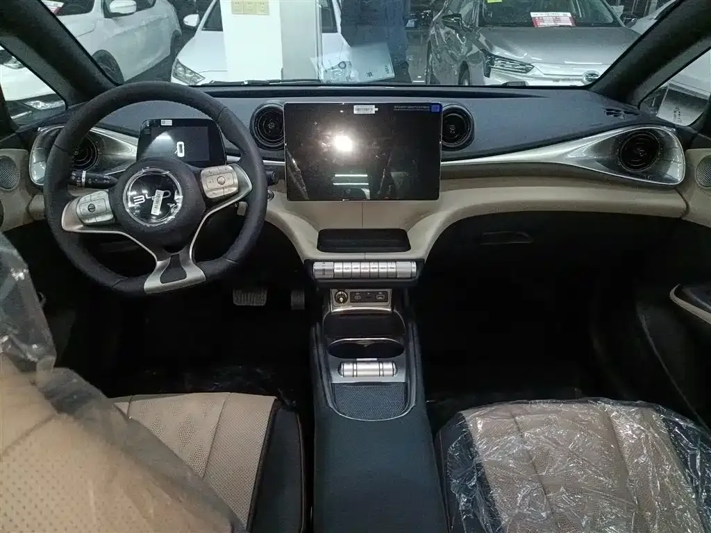 [object Object] Dolphin 2025 из CN, фото 10