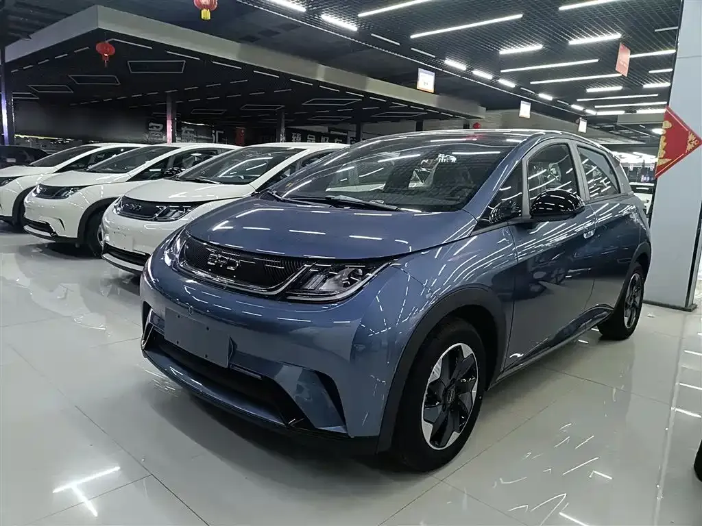 [object Object] Dolphin 2025 из CN, фото 2