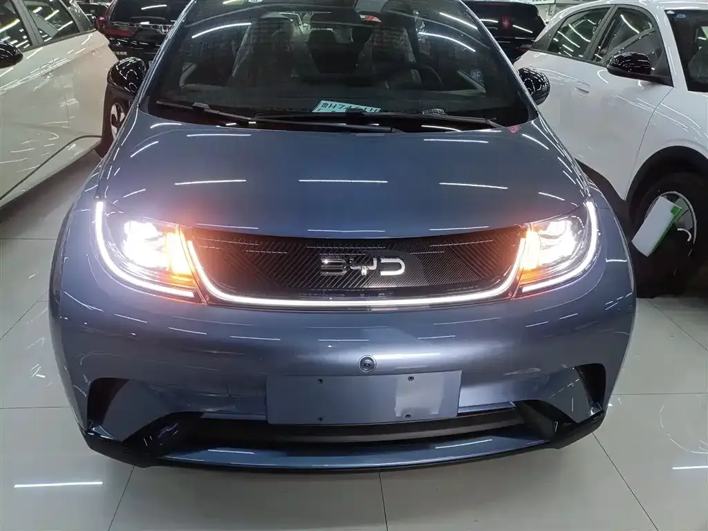 [object Object] Dolphin 2025 из CN, фото 3