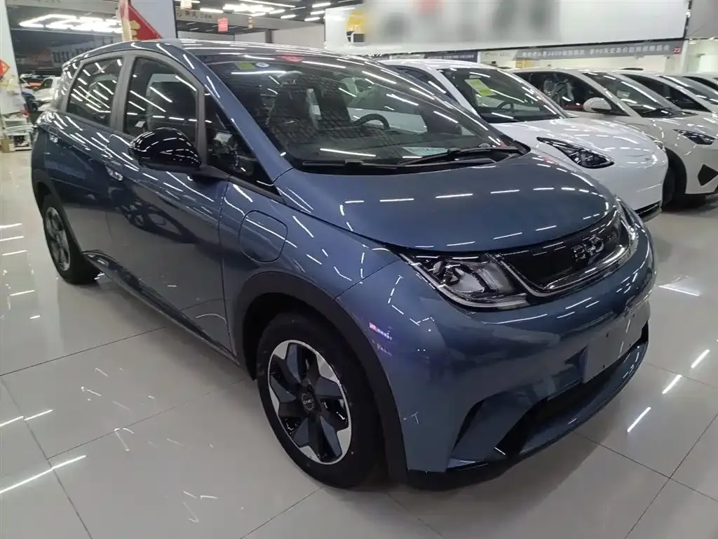 [object Object] Dolphin 2025 из CN, фото 4