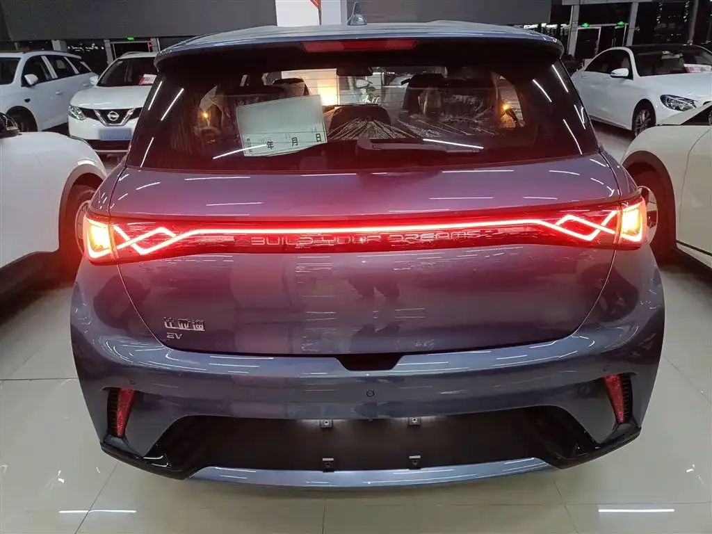 [object Object] Dolphin 2025 из CN, фото 6