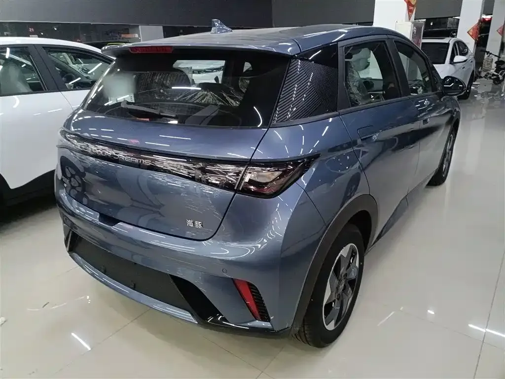 [object Object] Dolphin 2025 из CN, фото 7