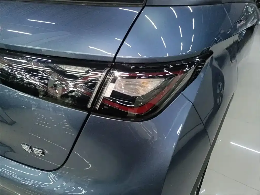 [object Object] Dolphin 2025 из CN, фото 8