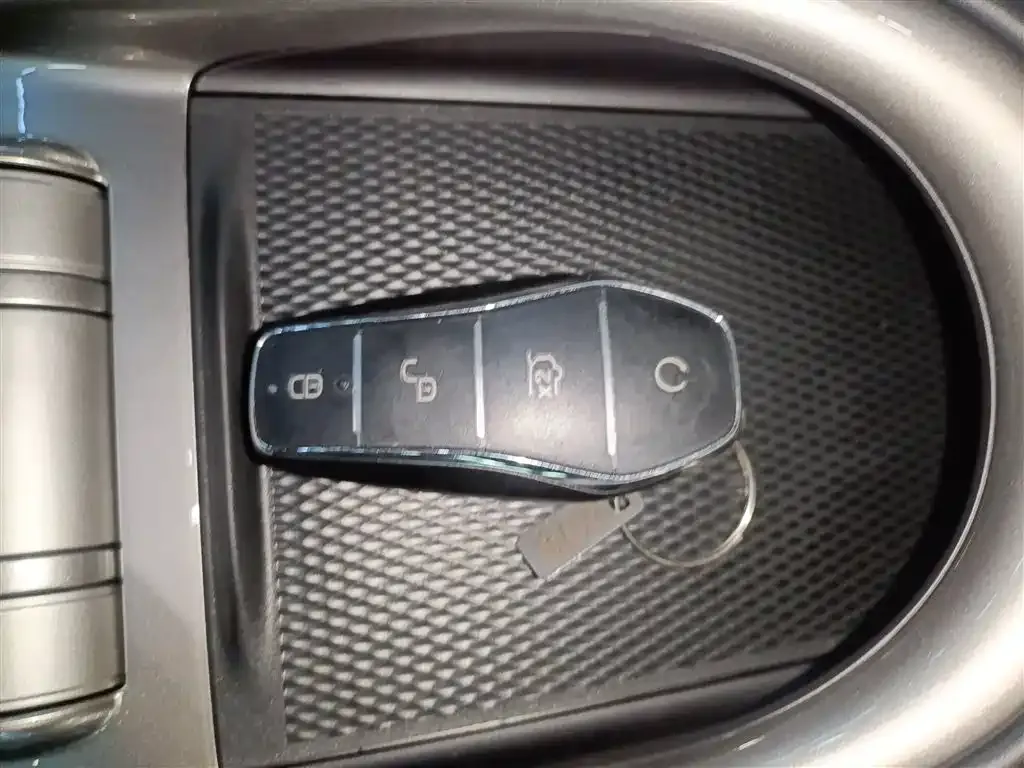 [object Object] Dolphin 2025 из CN, фото 9