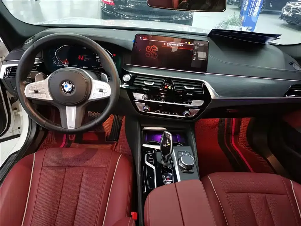 BMW 5 Series 2023 из CN, фото 3