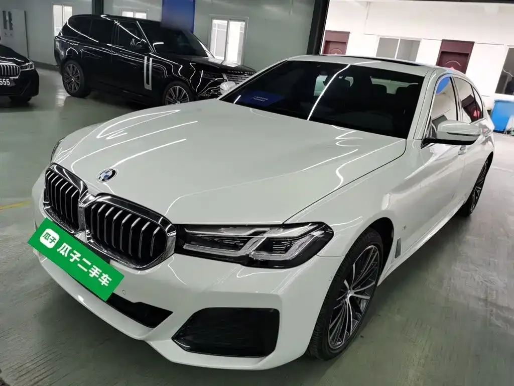 BMW 5 Series 2023 из CN, фото 4