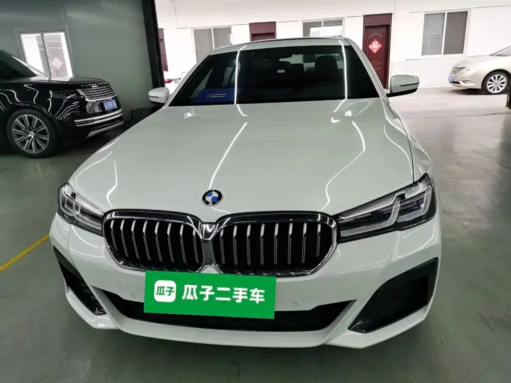 BMW 5 Series 2023 из CN, фото 5
