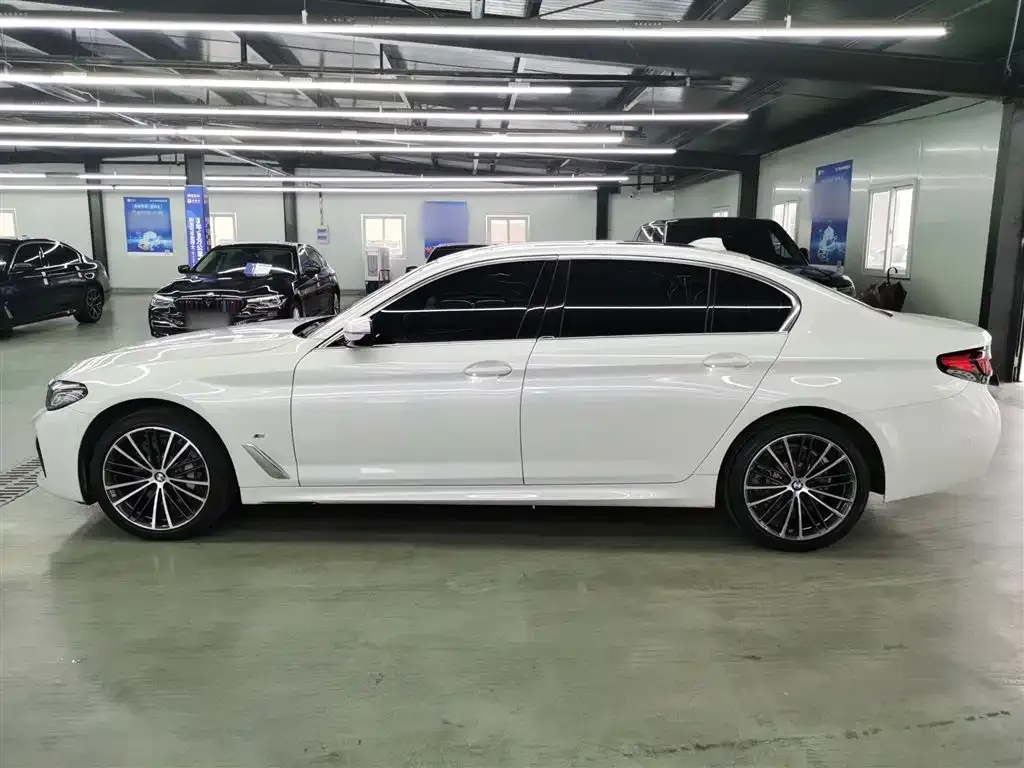 BMW 5 Series 2023 из CN, фото 10