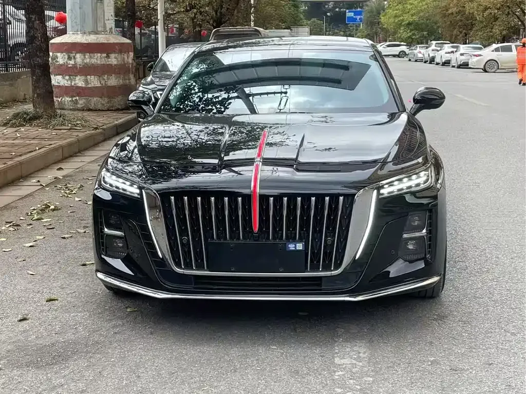 Hongqi H5 2023 из CN, фото 2