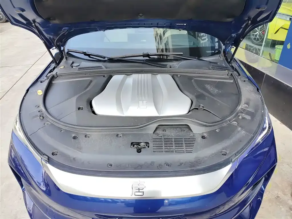 BYD Tang New Energy 2022 из CN, фото 10