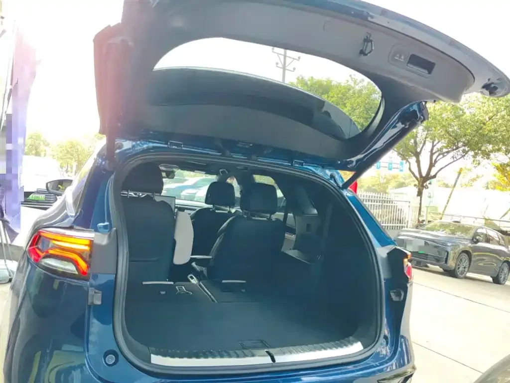 BYD Tang New Energy 2022 из CN, фото 9