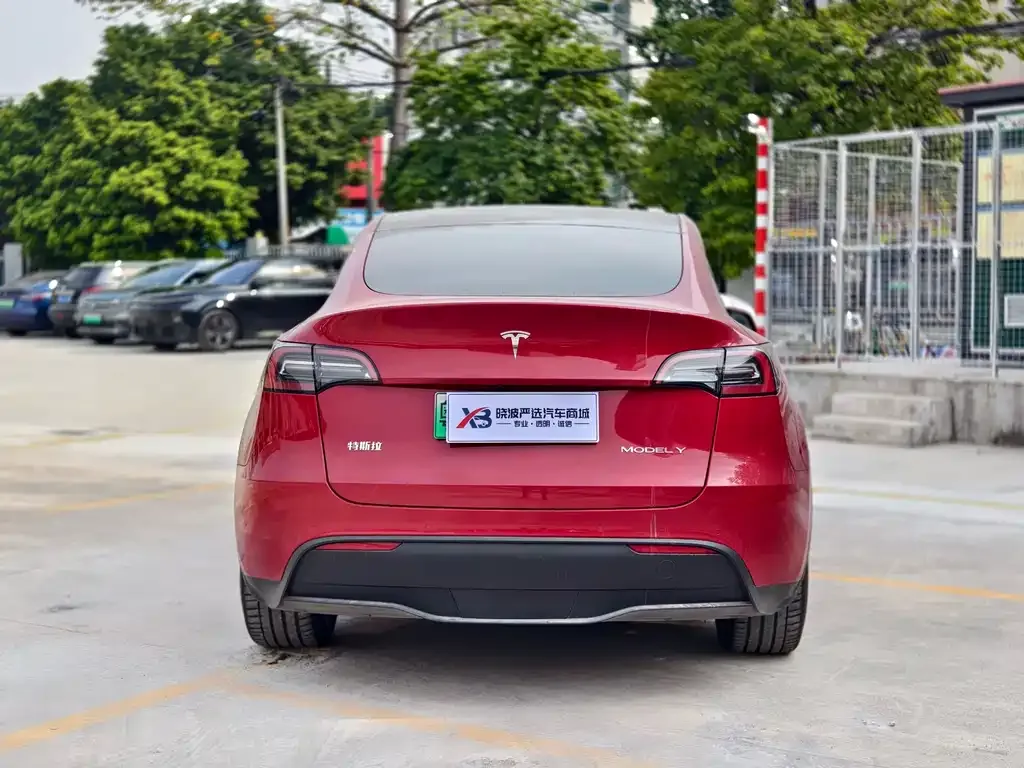 Tesla Model Y 2023 из CN, фото 2