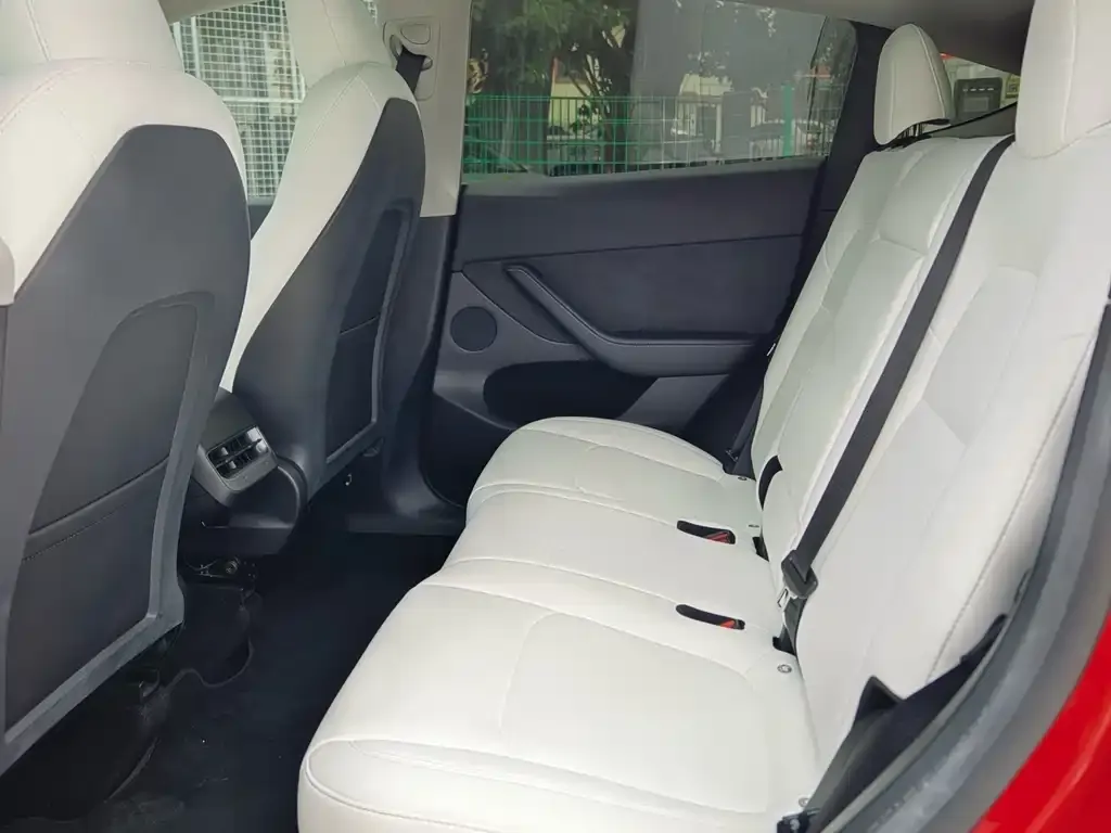 Tesla Model Y 2023 из CN, фото 4