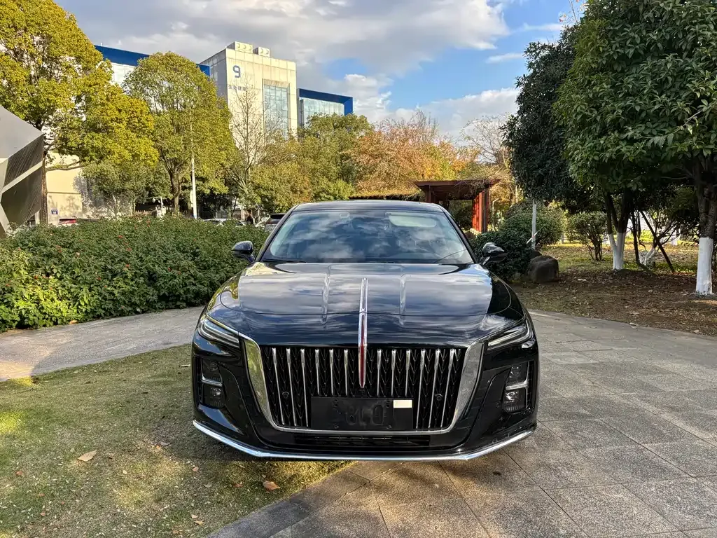 Hongqi H5 2024 из CN, фото 2