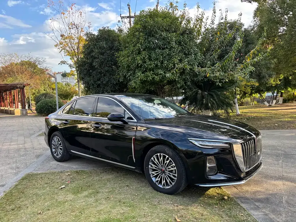 Hongqi H5 2024 из CN, фото 3