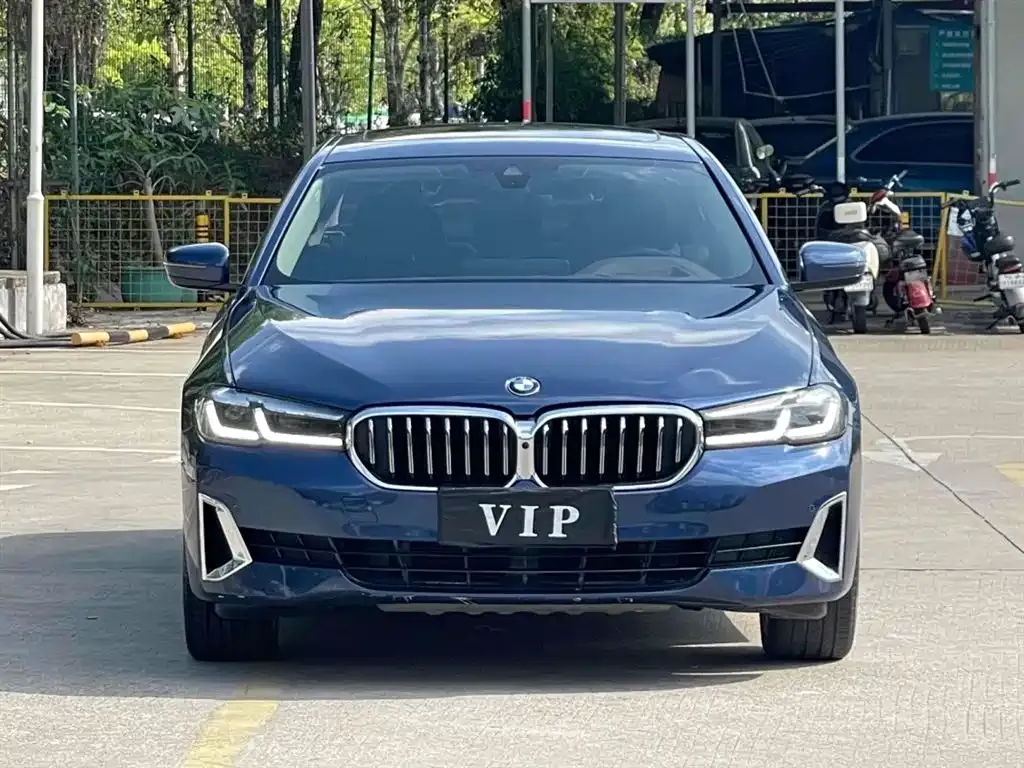 BMW 5 Series 2021 из CN, фото 1