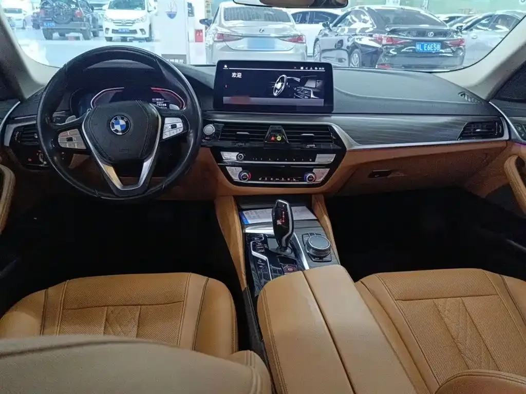 BMW 5 Series 2021 из CN, фото 2
