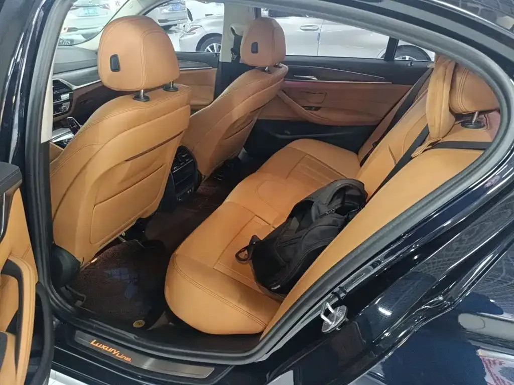 BMW 5 Series 2021 из CN, фото 4