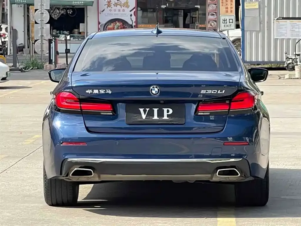 BMW 5 Series 2021 из CN, фото 3
