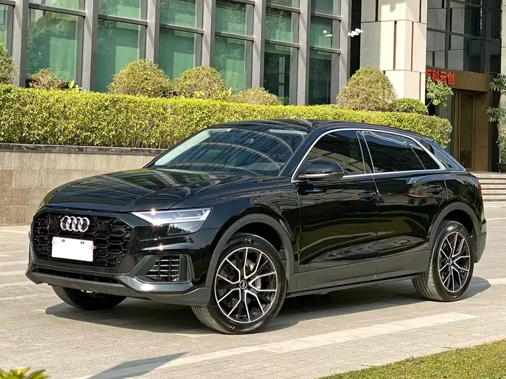 Audi Q8 2023 из CN, фото 1