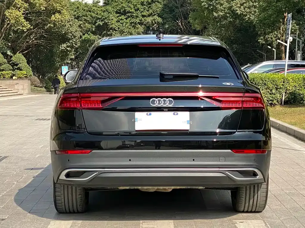 Audi Q8 2023 из CN, фото 8