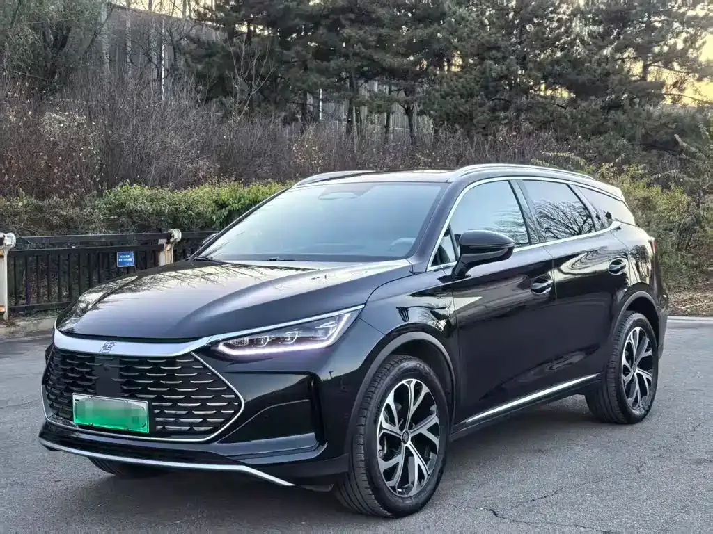 BYD Tang New Energy 2025 из CN, фото 1