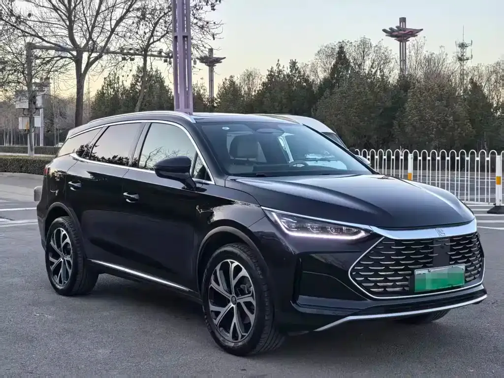 BYD Tang New Energy 2025 из CN, фото 3