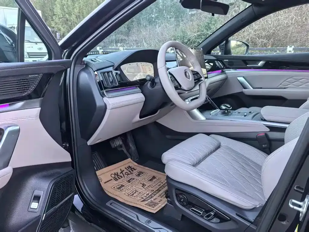 BYD Tang New Energy 2025 из CN, фото 4