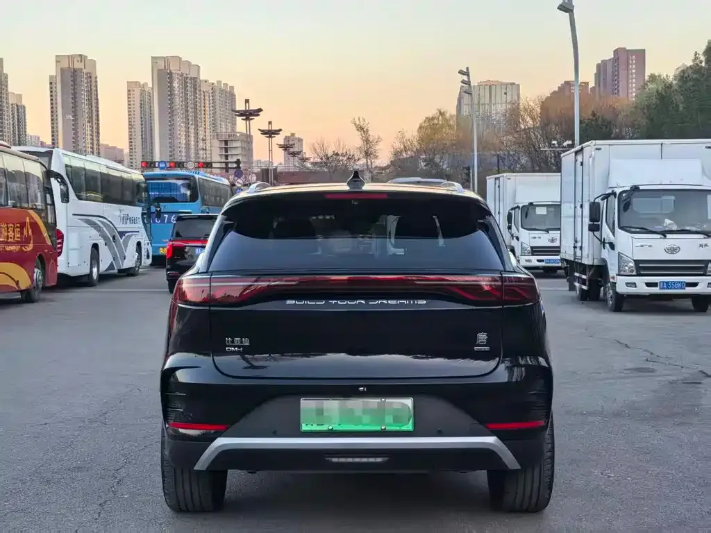 BYD Tang New Energy 2025 из CN, фото 8