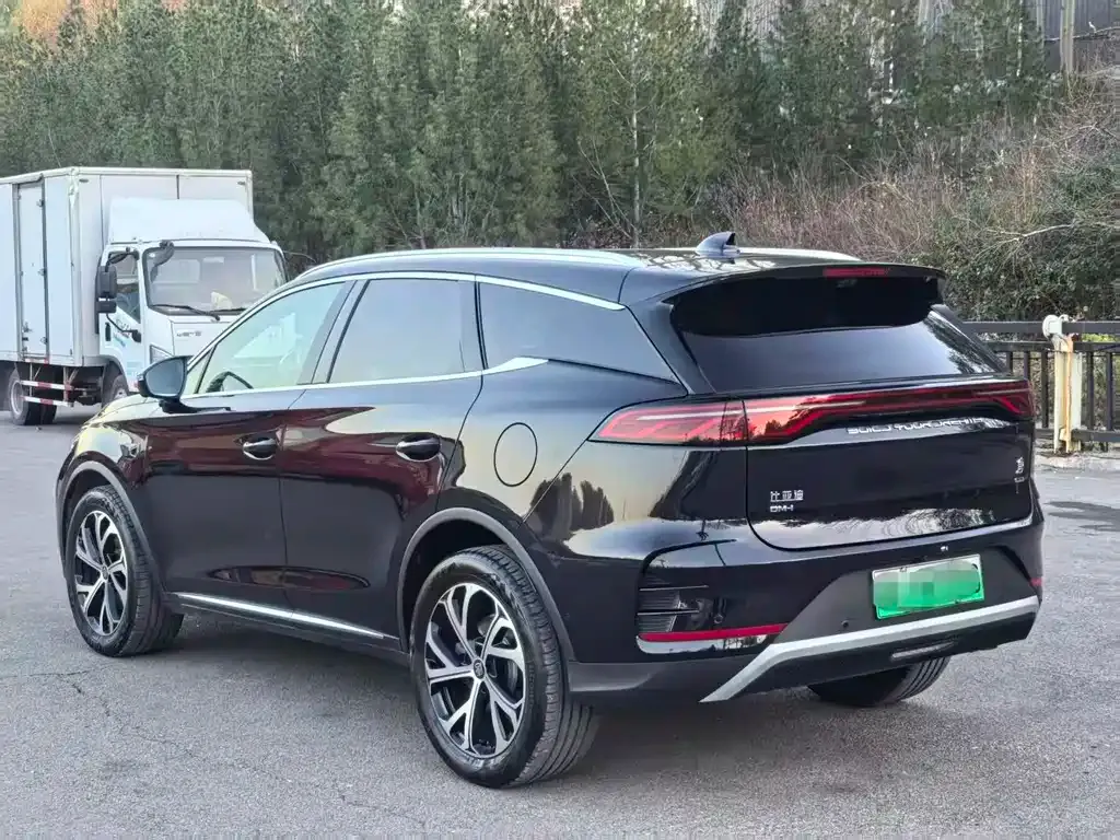 BYD Tang New Energy 2025 из CN, фото 9