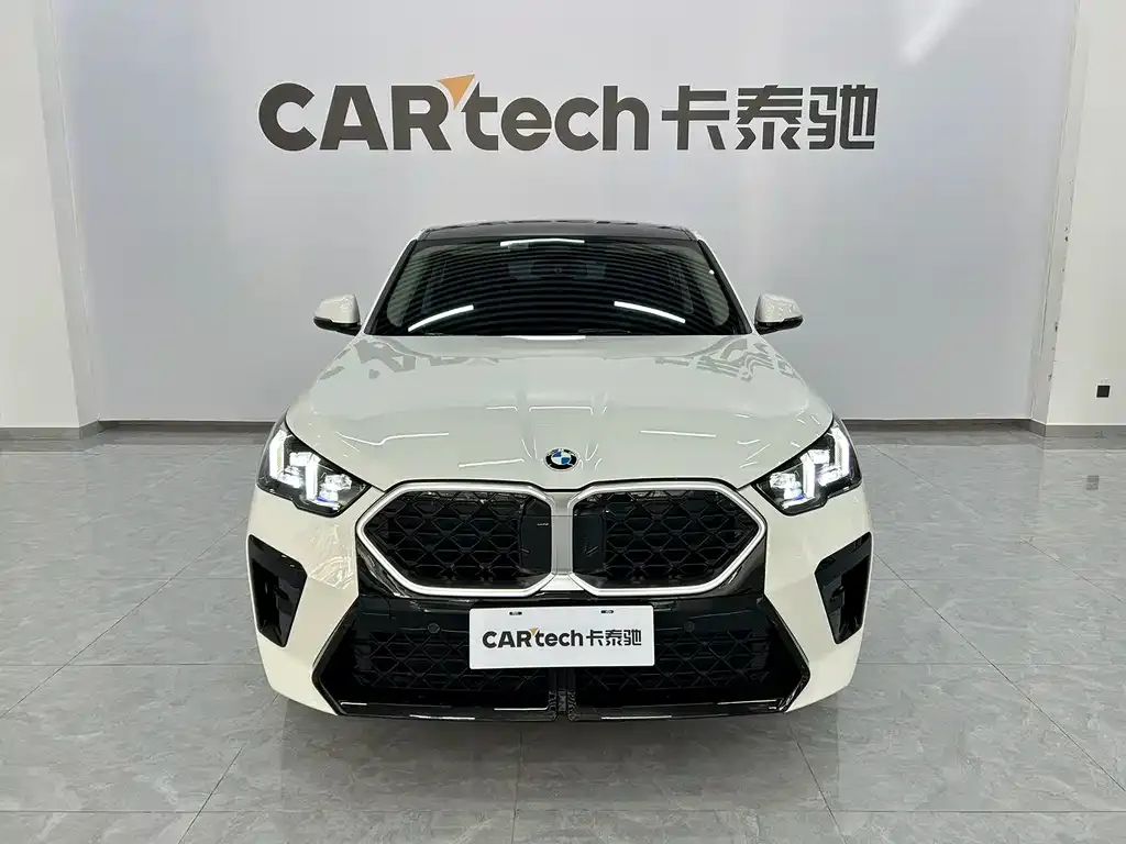 BMW X2 (Import) 2024 из CN, фото 1