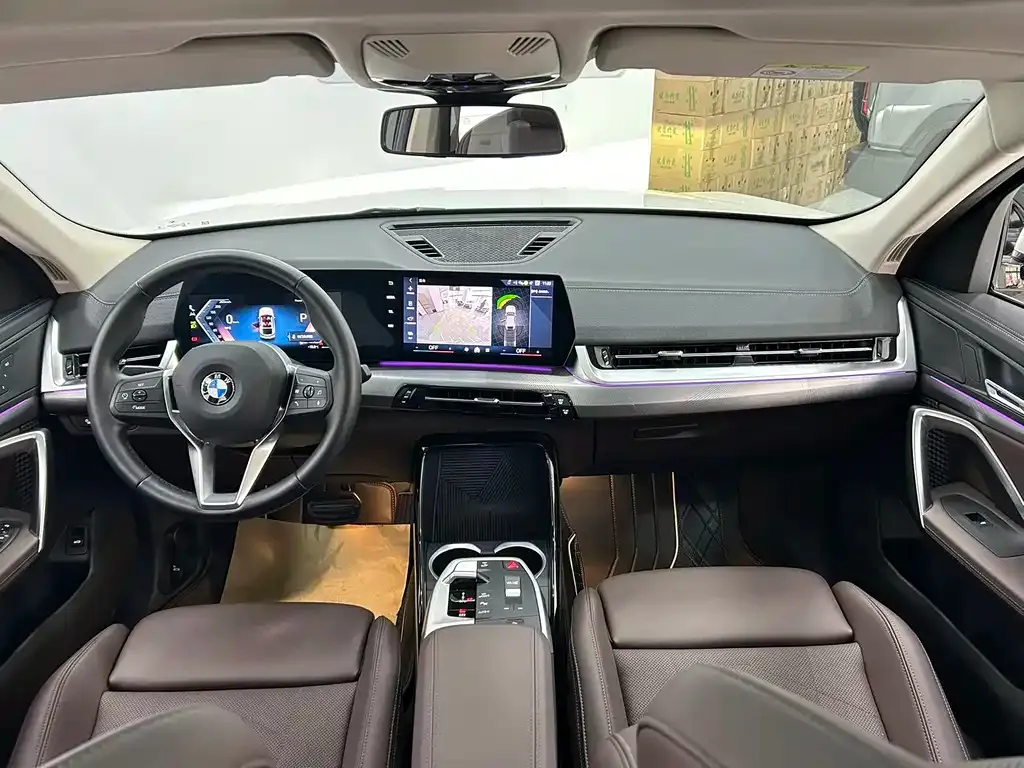 BMW X2 (Import) 2024 из CN, фото 9