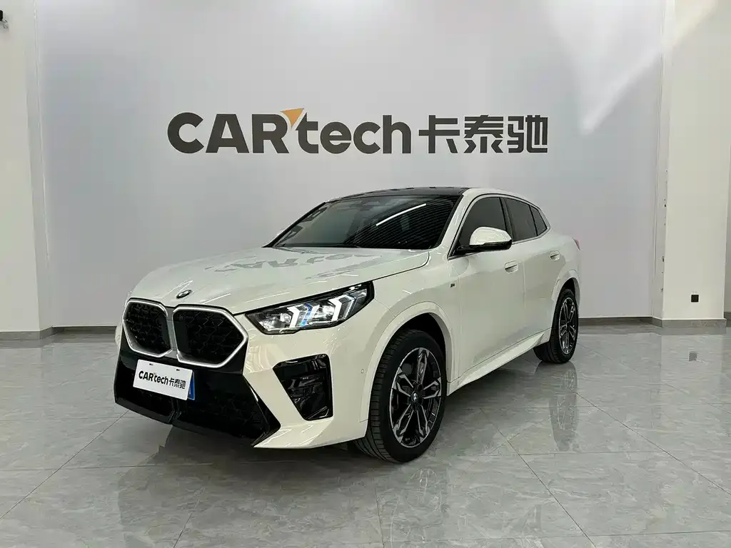 BMW X2 (Import) 2024 из CN, фото 7