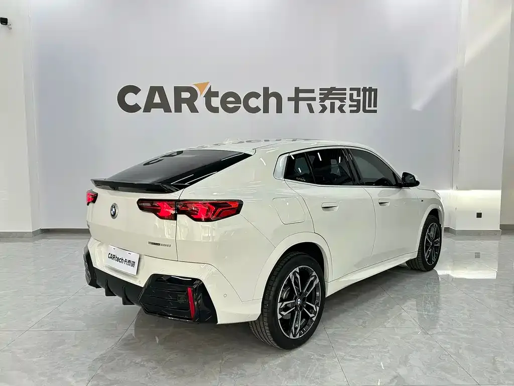 BMW X2 (Import) 2024 из CN, фото 6