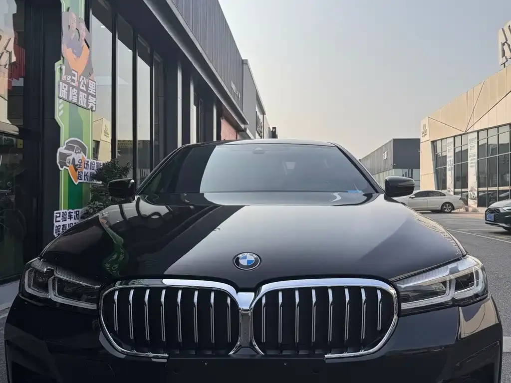 BMW 5 Series 2022 из CN, фото 2