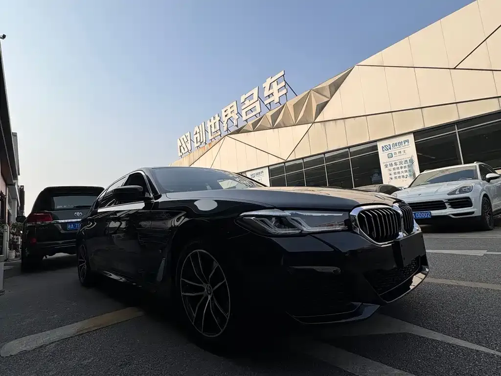 BMW 5 Series 2022 из CN, фото 4