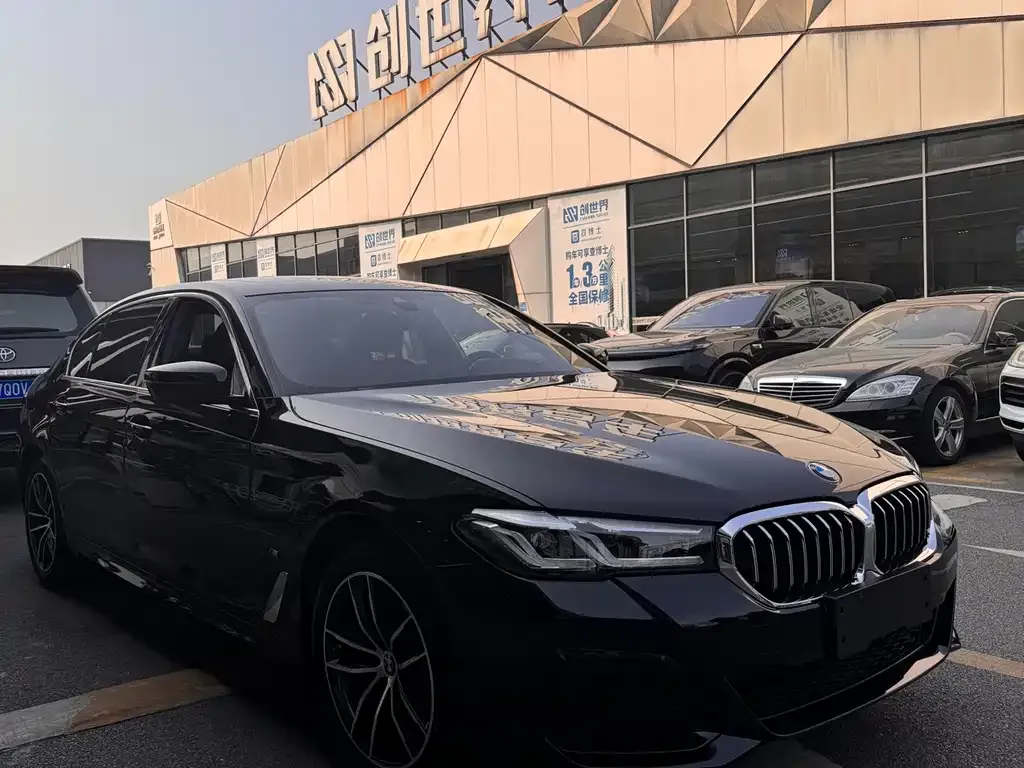 BMW 5 Series 2022 из CN, фото 5